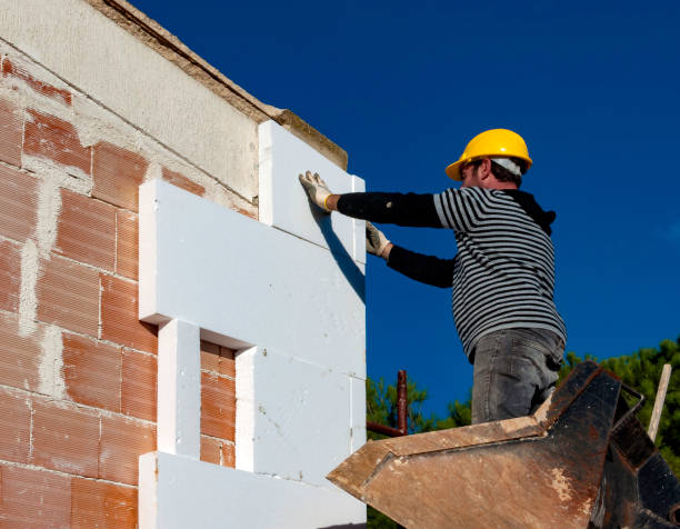 Best Specialty Insulation in Mayo, SC